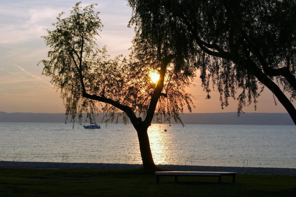 Die Pension Reeh Podersdorf am See Bagian luar foto